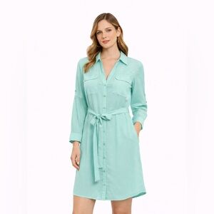 Express Light Green Portofino Shirt Dress